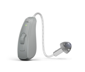 hearing aid