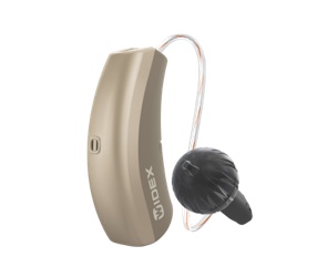 hearing aid