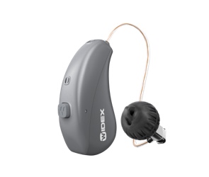hearing aid