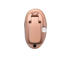hearing aid