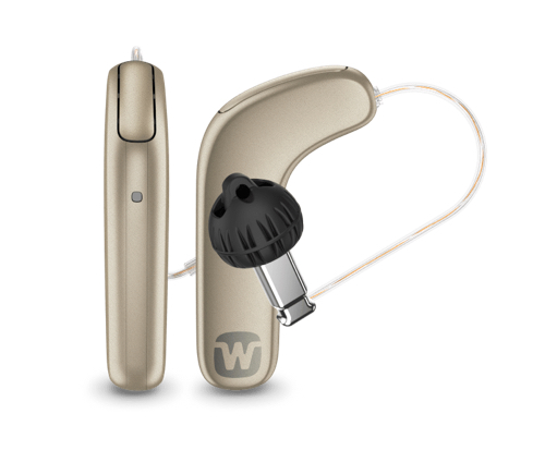 hearing aid