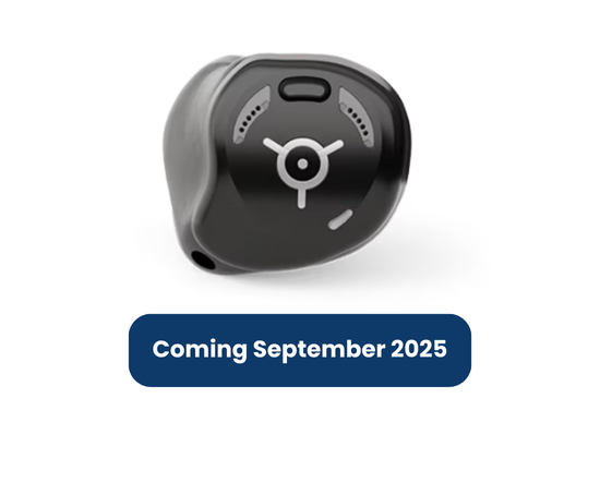 hearing aid