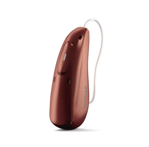 hearing aid