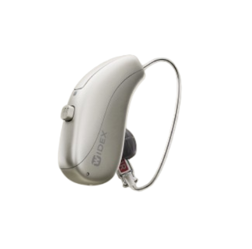 hearing aid