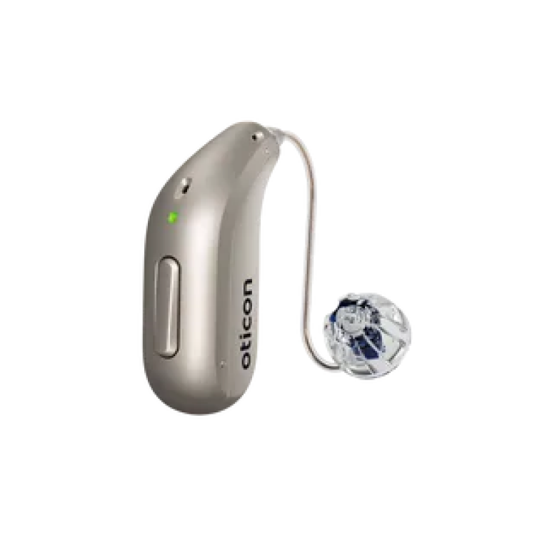 hearing aid