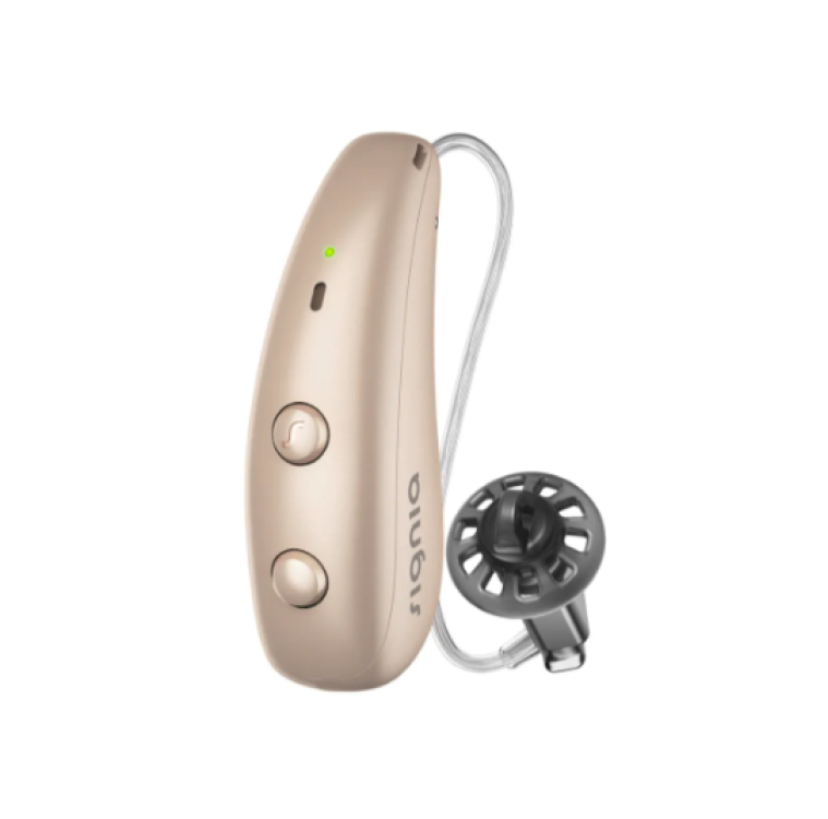hearing aid
